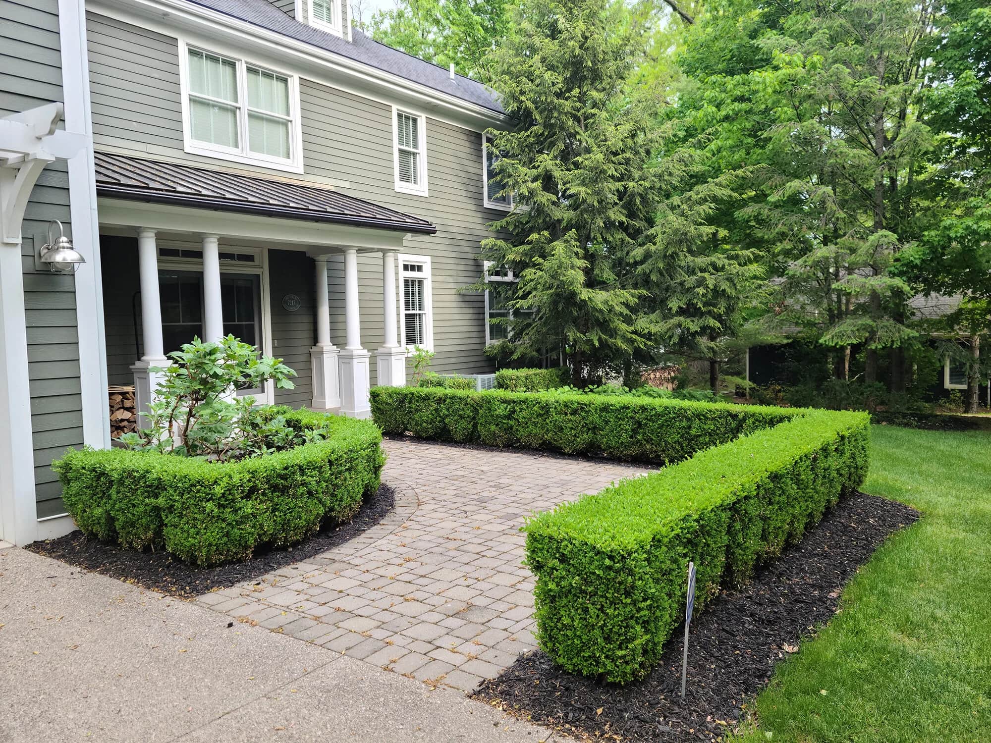 Manicured boxwood hedges framing a paver walkway at a Michigan home