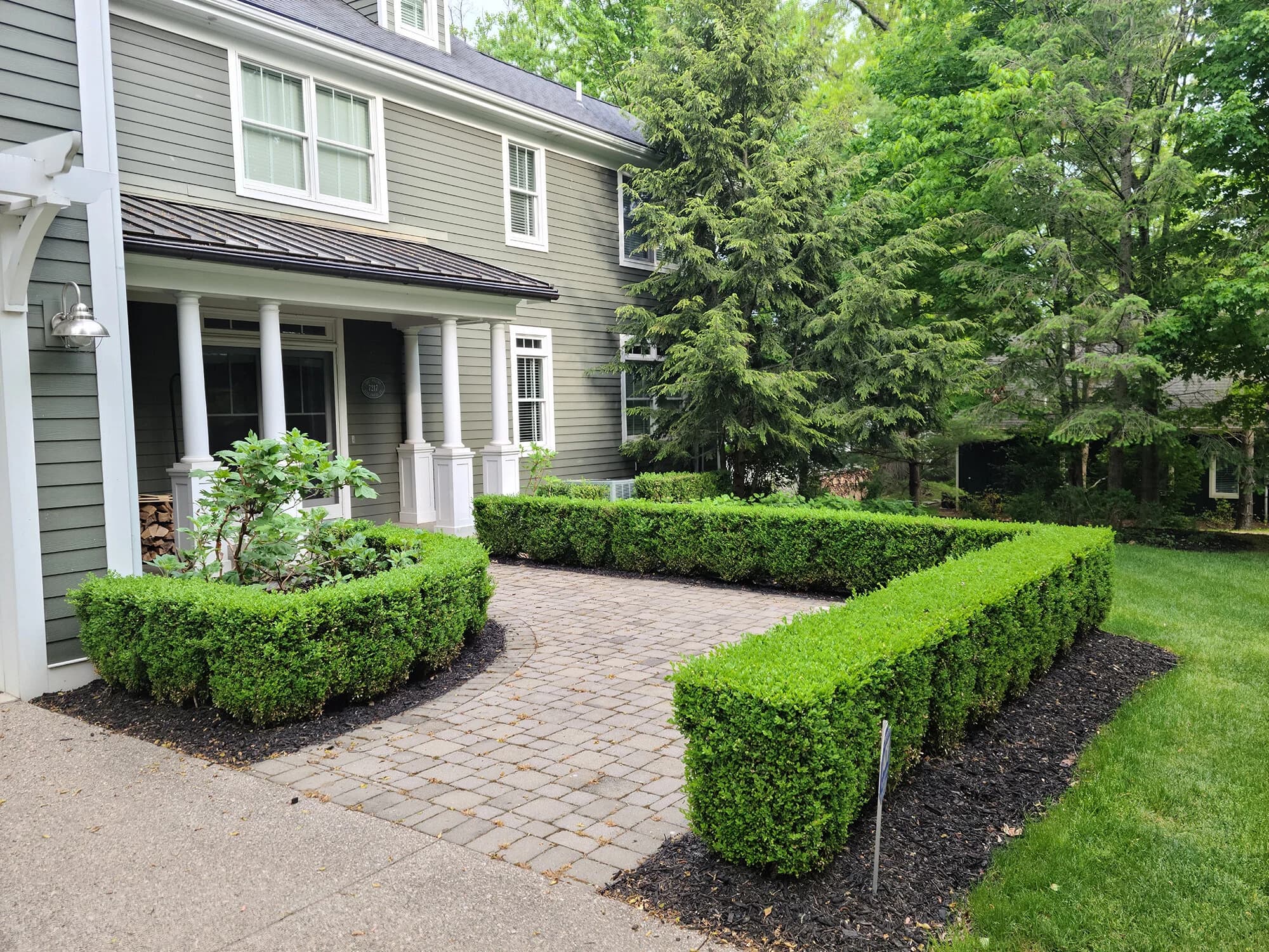Manicured boxwood hedges framing a paver walkway at a Michigan home