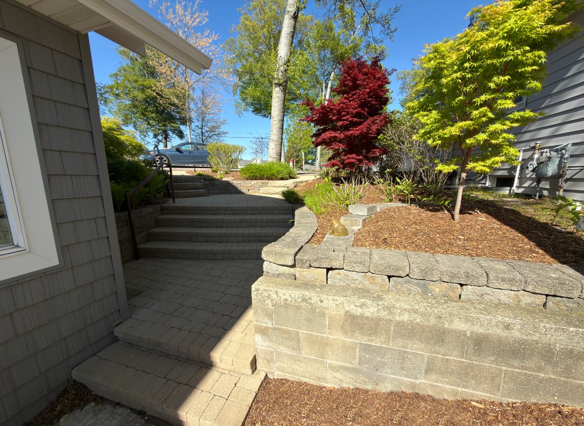Paver steps flanked by red Japanese maple and stone retaining wall